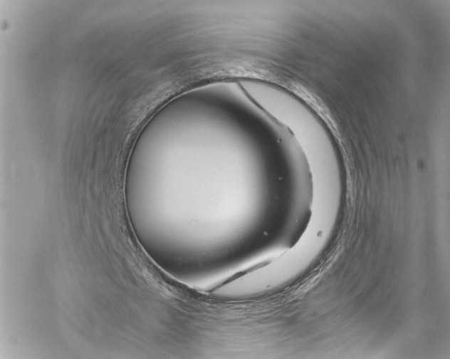 X0000059850481200511181542