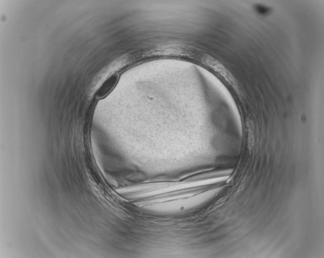 X0000059850482200511181542