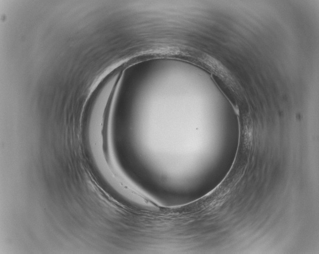 X0000059850484200511181542