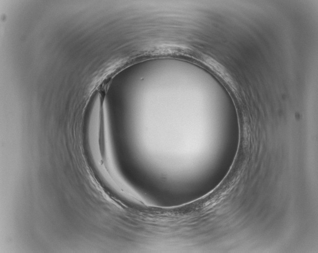 X0000059850485200511181542