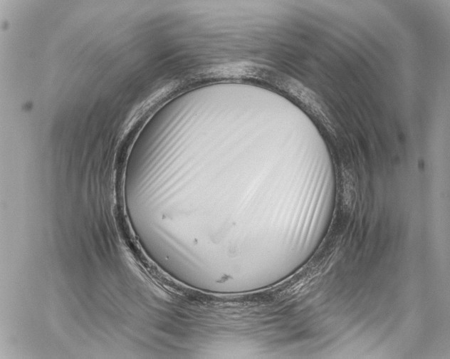 X0000059850486200511181542