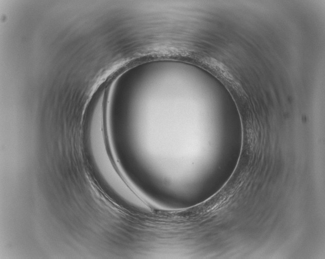 X0000059850488200511181542