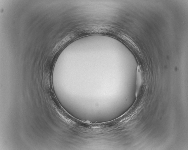 X0000059850489200511181542