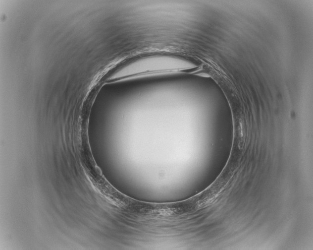 X0000059850492200511181542