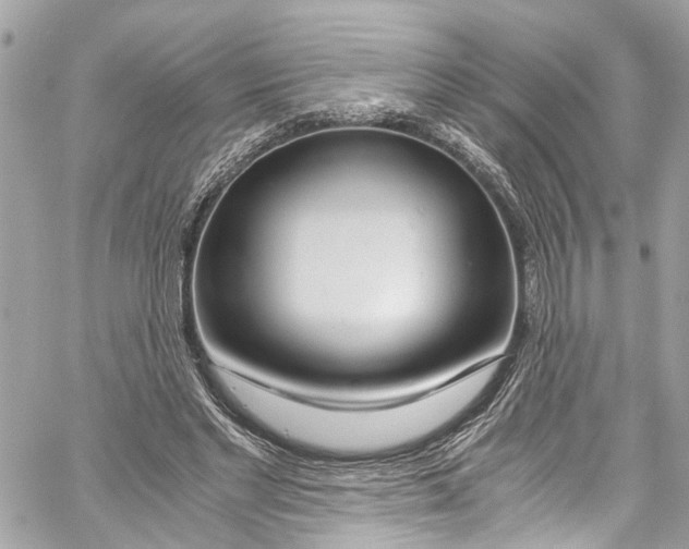 X0000059850493200511181542