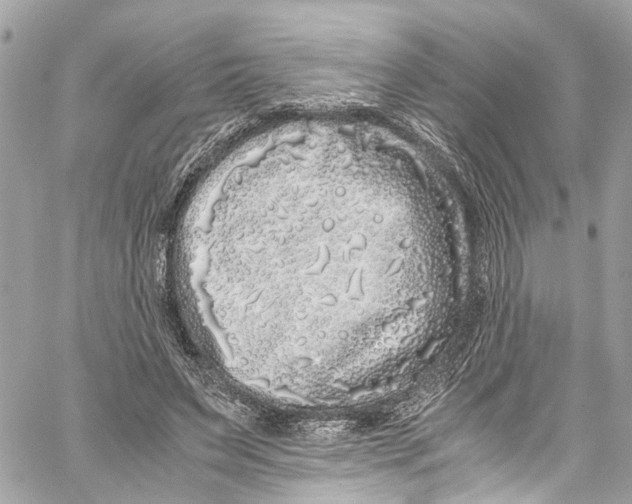 X0000059850495200511181542