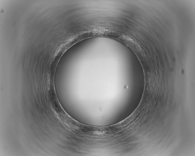 X0000059850496200511181542