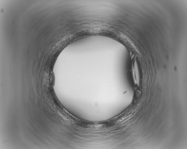 X0000059850497200511181542