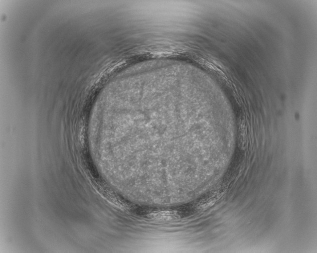 X0000059850499200511181542