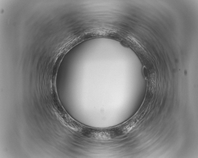 X0000059850500200511181542