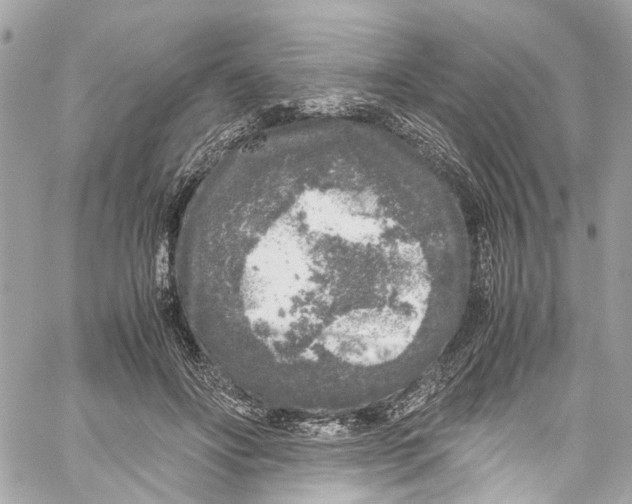 X0000059850502200511181542