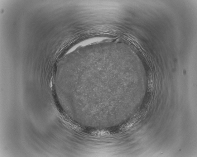 X0000059850503200511181542