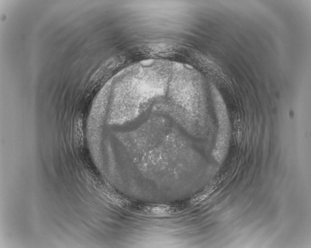 X0000059850506200511181542