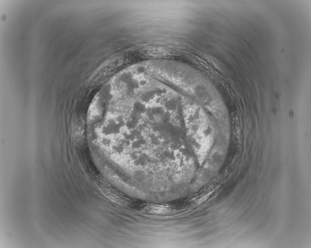 X0000059850507200511181542