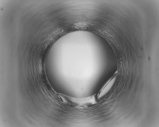 X0000059850508200511181542