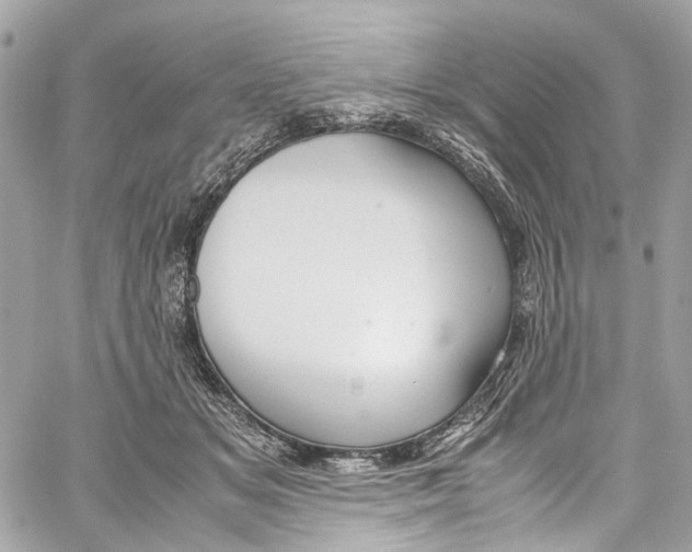 X0000059850509200511181542