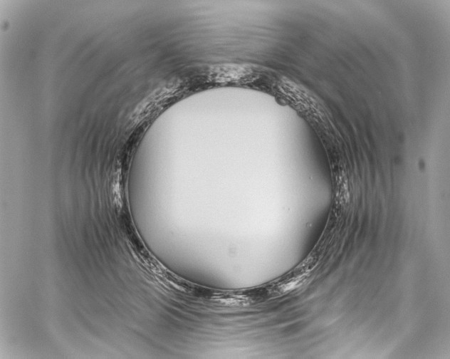 X0000059850510200511181542