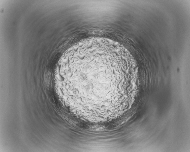 X0000059850511200511181542