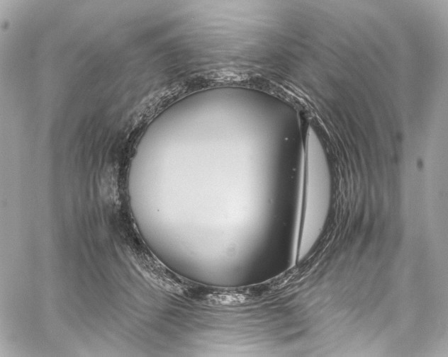 X0000059850512200511181542