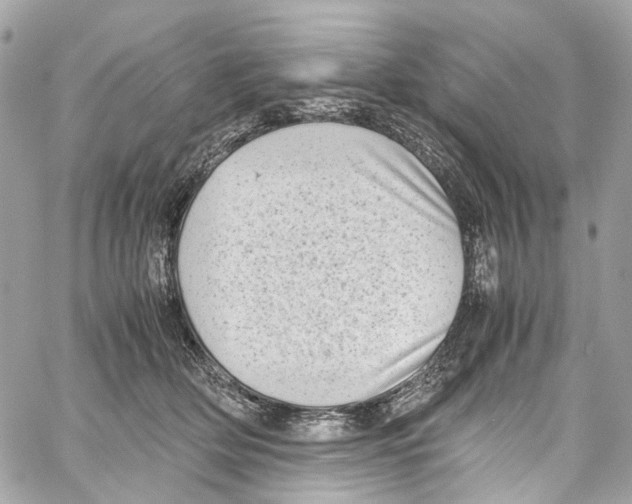 X0000059850514200511181542