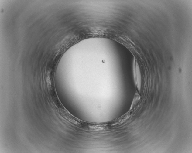 X0000059850516200511181542