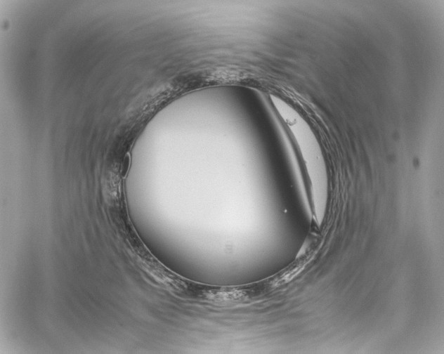 X0000059850517200511181542