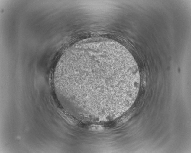 X0000059850519200511181542