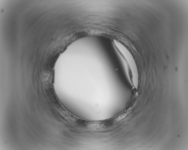 X0000059850521200511181541