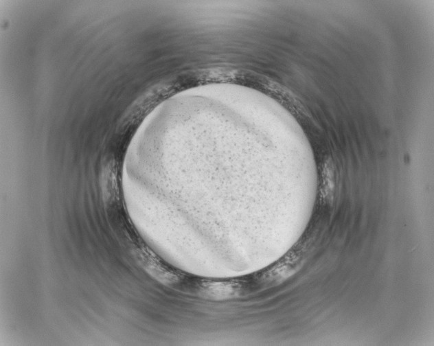 X0000059850522200511181541