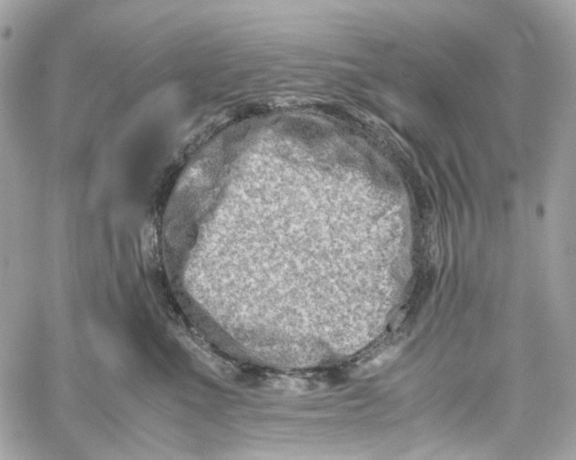 X0000059850523200511181541