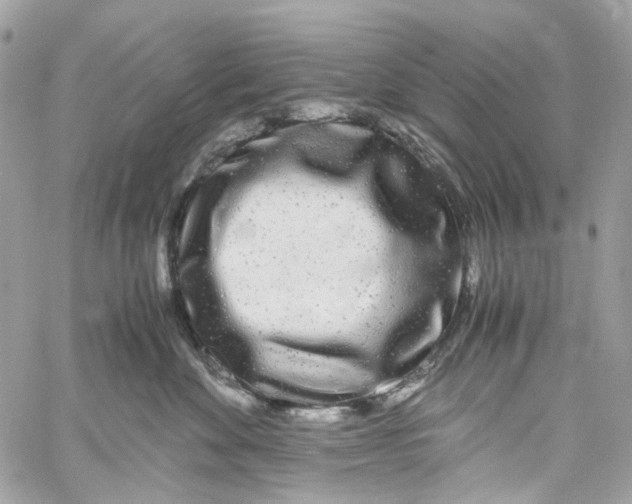 X0000059850524200511181541