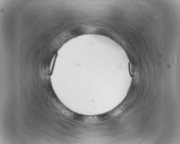 X0000059850525200511181541