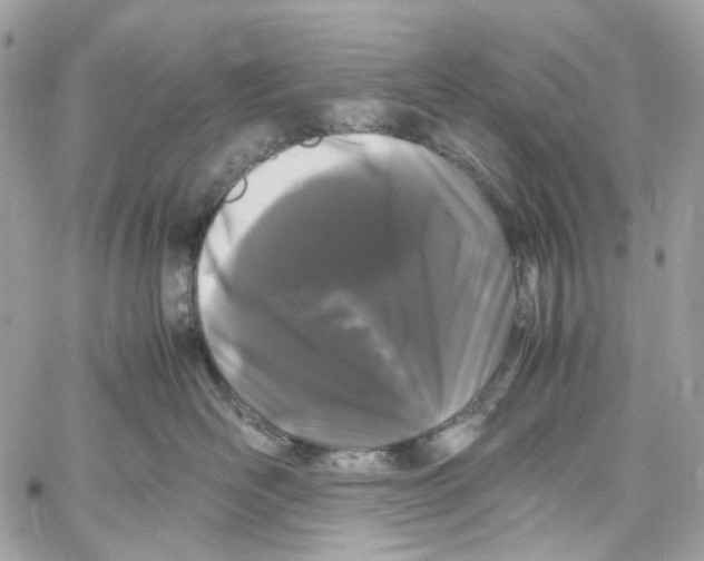 X0000059850526200511181541