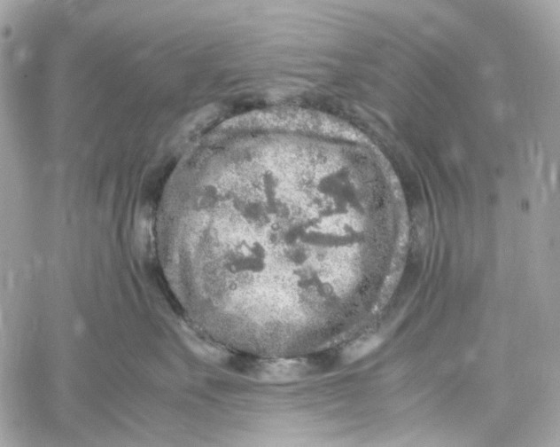 X0000059850527200511181541