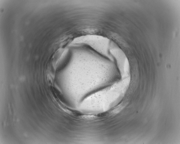 X0000059850528200511181541