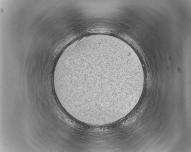 X0000059850529200511181541