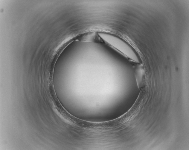 X0000059850530200511181541