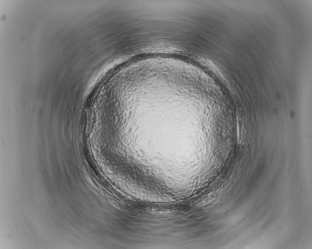 X0000059850531200511181541