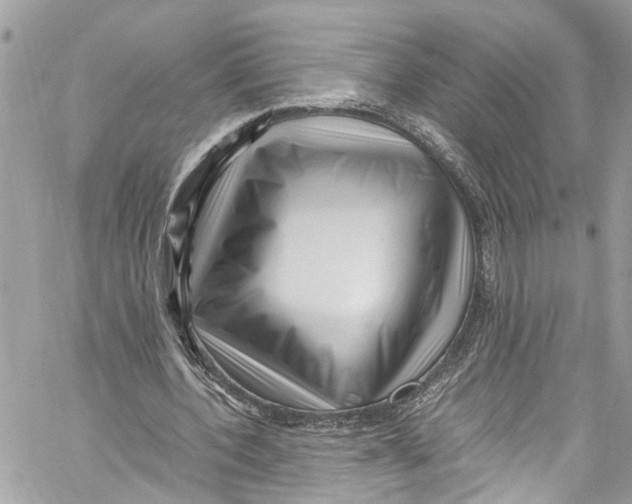 X0000059850532200511181541