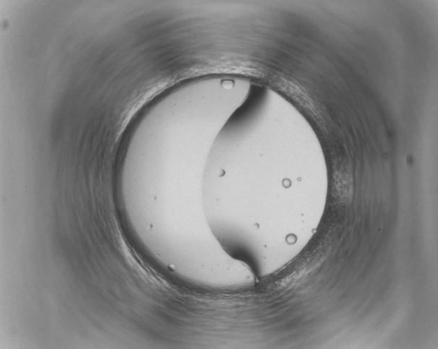 X0000059850534200511181541