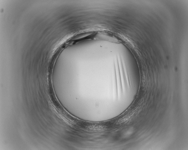 X0000059850535200511181541