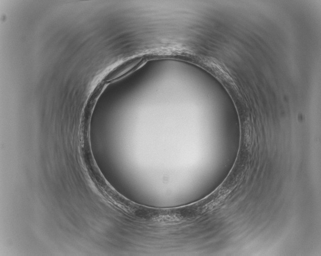 X0000059850536200511181541