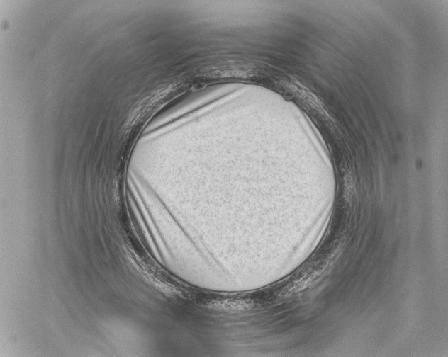 X0000059850537200511181541