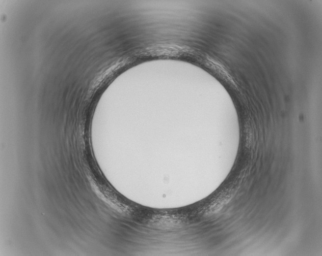 X0000059850538200511181541