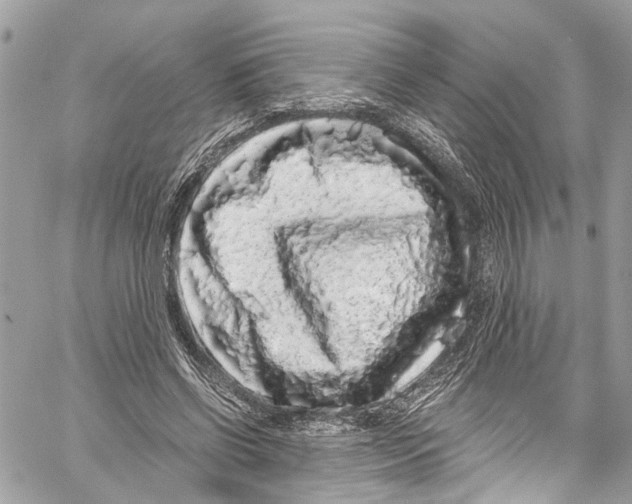 X0000059850542200511181541