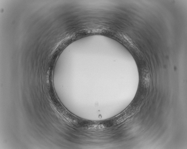 X0000059850543200511181541