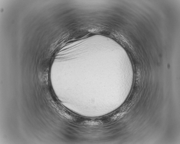 X0000059850545200511181541