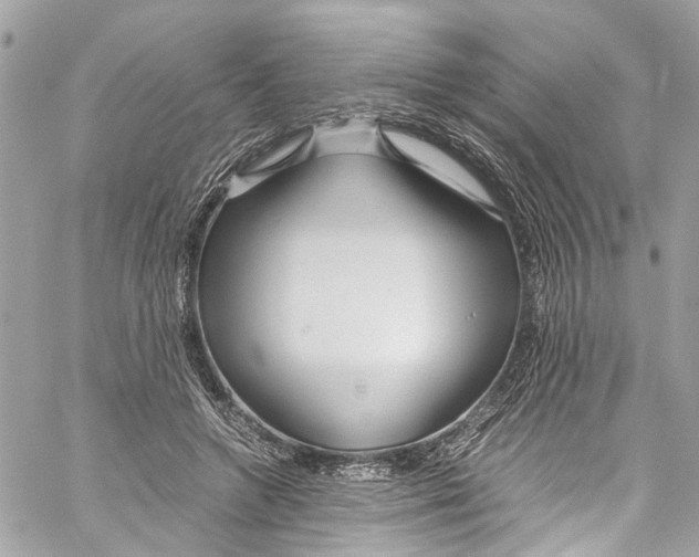 X0000059850546200511181541