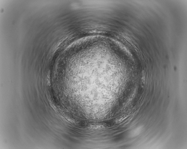 X0000059850547200511181541