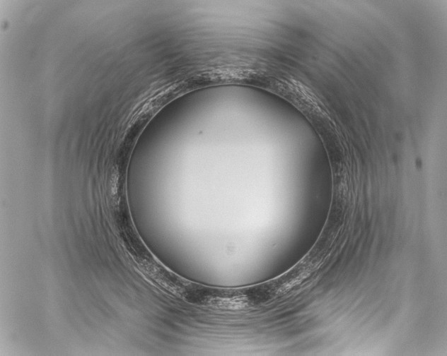 X0000059850548200511181541